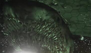 Exo Zombies в COD: акула зачетная получилась