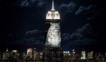 В Нью-Йорке красочно помянули льва Сесила и кое-каких других животных