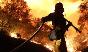 Сквозь калифорнийский пожар: видео очевидца