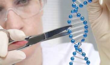 Ученые показали, как генная инженерия способна устранять болезни [видео]