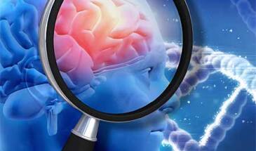 Обучение значительно снижает риск возникновения болезни Альцгеймера