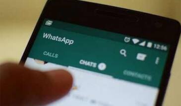 Групповой чат в WhatsApp: как отключить звук уведомлений
