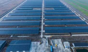 В Китае заработала молочная солнечная электростанция мощностью 15.6 Мвт