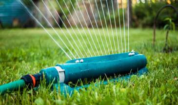 Эффективный полив домашнего газона в летний сезон: минимальный набор технологий