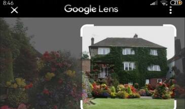 Поиск картинок через Google Объектив в Chrome: как включить
