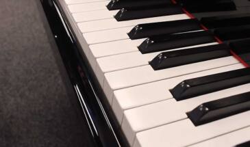 Чем отличается пианино от рояля