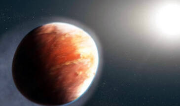 Звезда-капля HD74423 и красный карлик: гравитация может…
