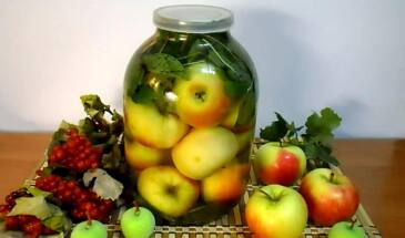 Моченые яблоки в домашних условиях — простой рецепт от Glav-Dacha.ru