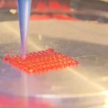 На МКС получены первые результаты эксперимента с 3D-биопринтером