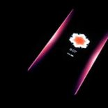 Breathing light или дышащий индикатор: как включить у Xiaomi [архивъ]