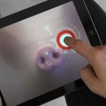 Pig Chase: живые поросята станут сенсацией в мире игр для iPad